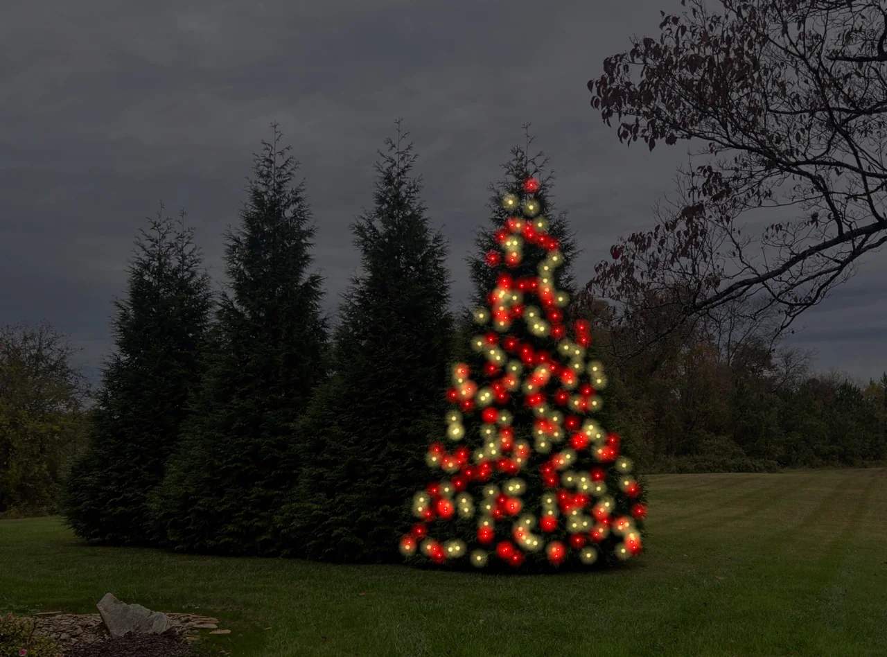 Design mockup showing the same evergreen tree with red and warm-white Christmas lights