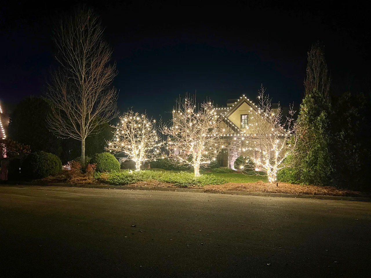 Three trees wrapped in white Christmas lights in front of a home